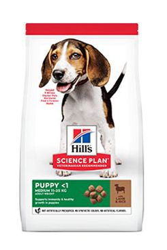 Hill’s Can.Dry SP Puppy Medium Lamb&Rice 18kg